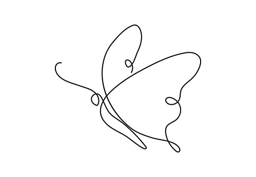 Detail Art Line Png Nomer 23