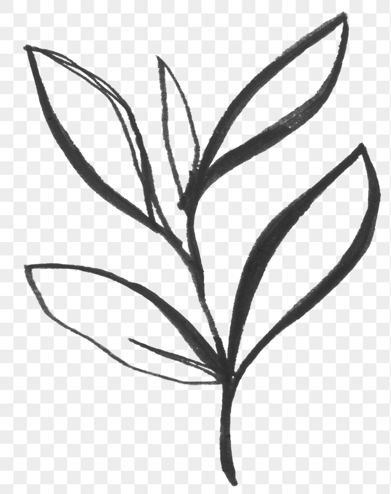 Detail Art Line Png Nomer 31