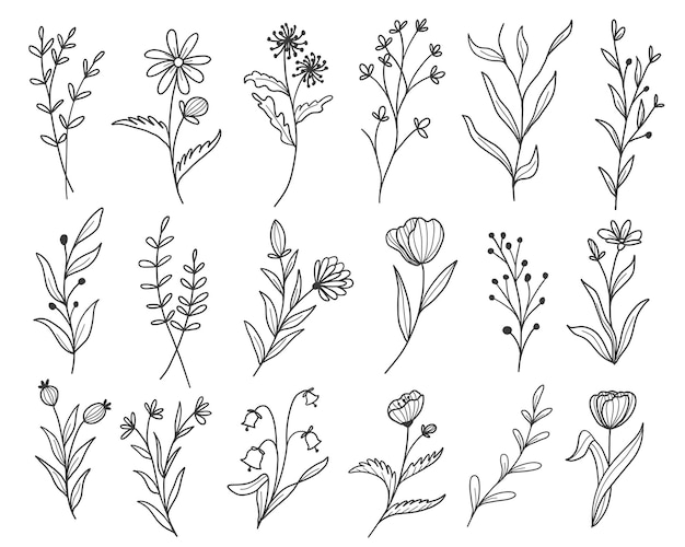 Detail Art Line Vector Nomer 6