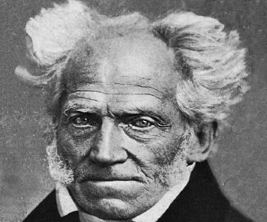 Detail Arthur Schopenhauer Quotes Nomer 33