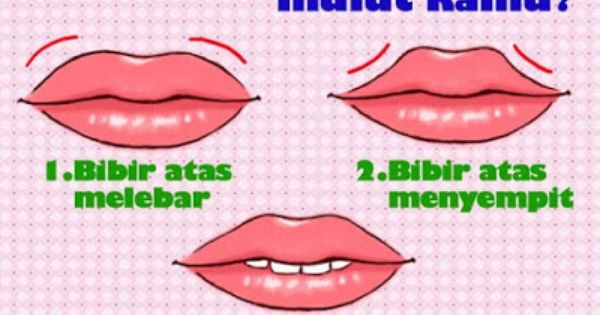 Detail Arti Bentuk Bibir Dan Gambarnya Nomer 27