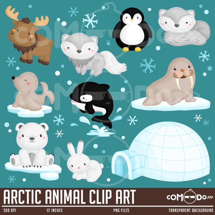 Detail Artic Clipart Nomer 17