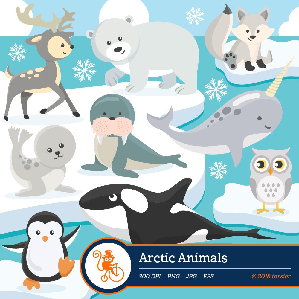 Detail Artic Clipart Nomer 23