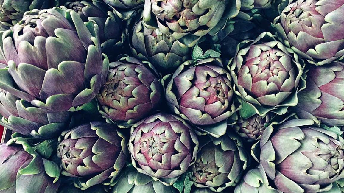 Detail Artichoke Flower Images Nomer 37