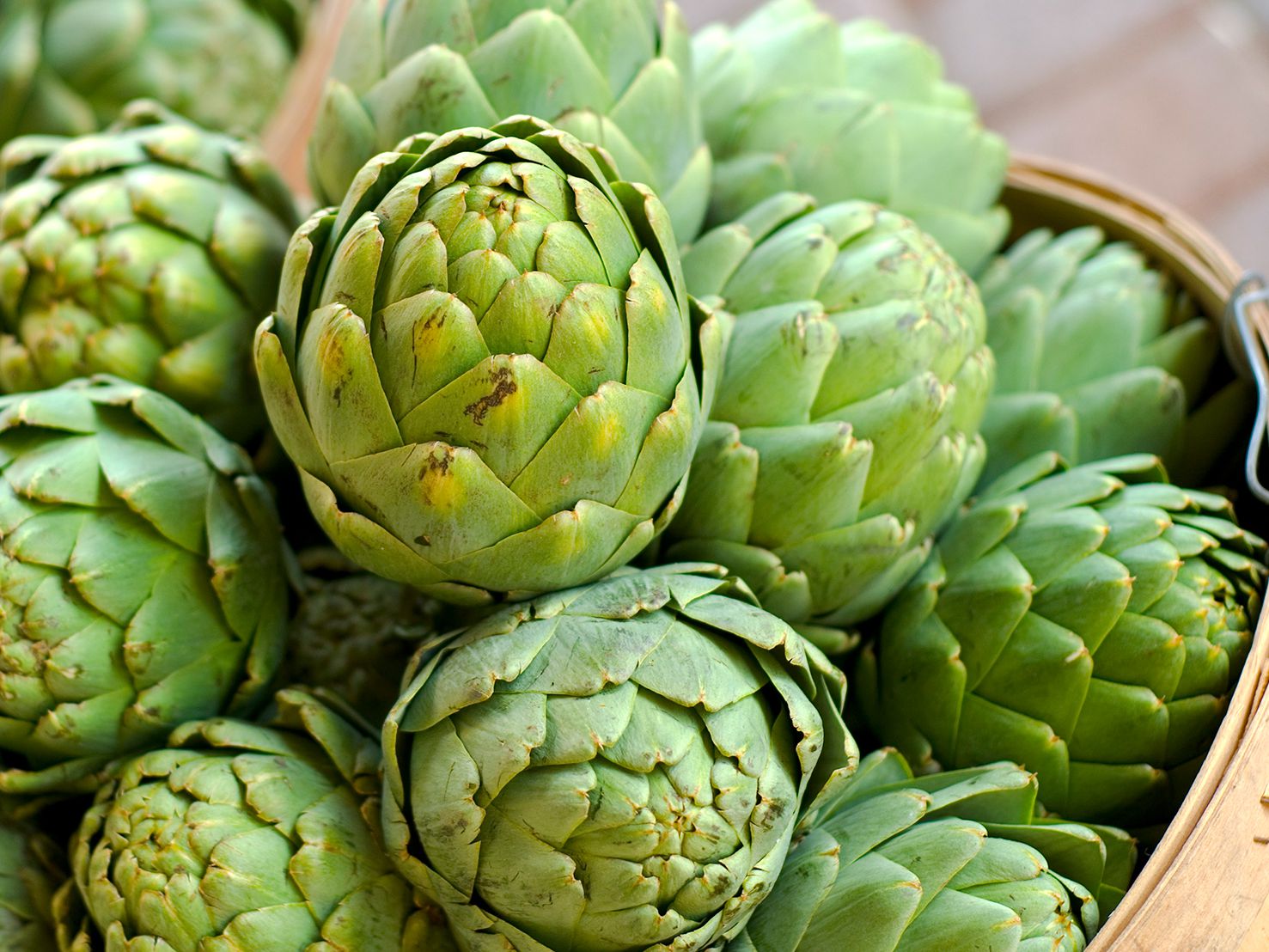 Detail Artichoke Photo Nomer 12