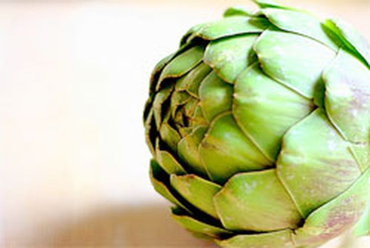 Detail Artichoke Photo Nomer 44