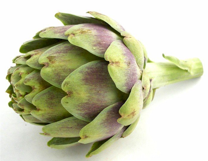 Detail Artichoke Pictures Nomer 29