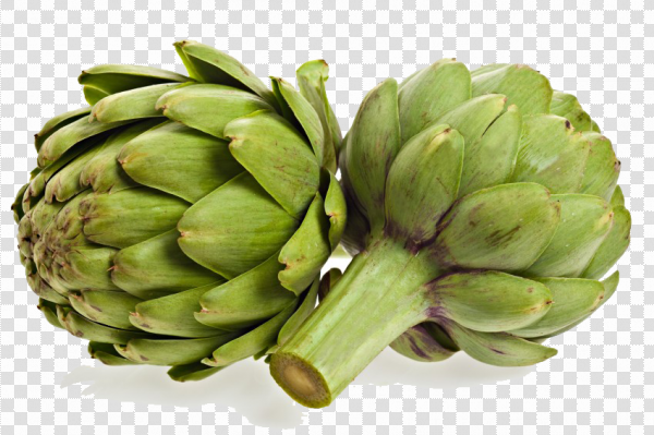 Detail Artichoke Png Nomer 14