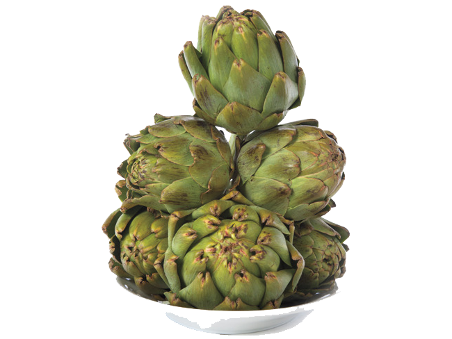 Detail Artichoke Png Nomer 36