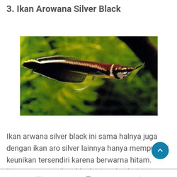 Download Arwana Black Silver Nomer 5