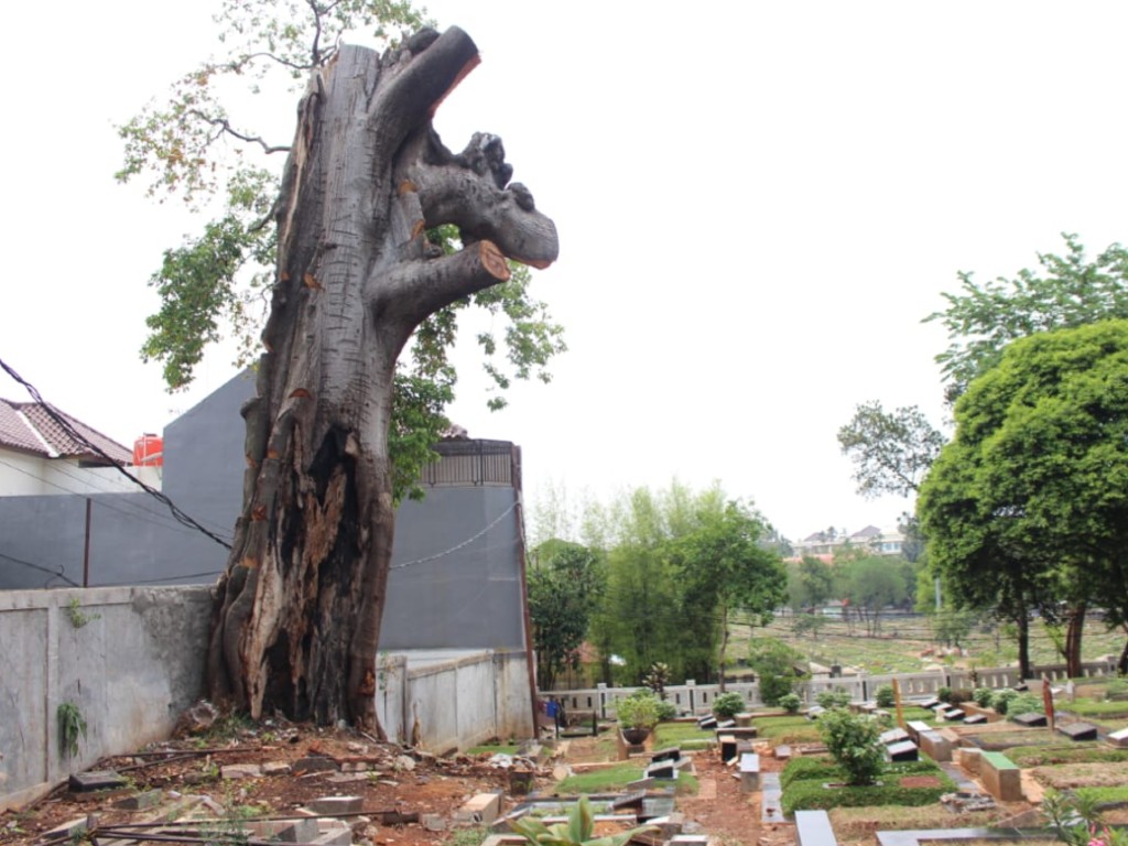 Detail Asal Usul Hantu Kepala Buntung Nomer 10