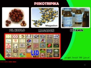 Detail Asam Lisergat Dietilamida Nomer 52