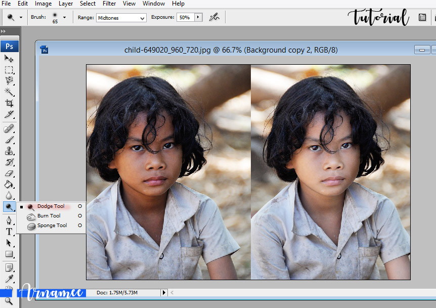 Detail Asas Edit Gambar Guna Lightroom Nomer 15