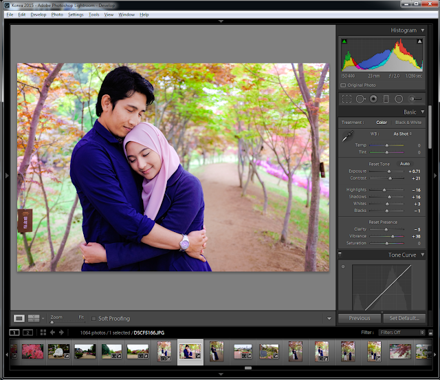 Detail Asas Edit Gambar Guna Lightroom Nomer 17