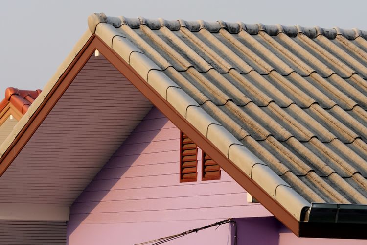 Detail Asbes Atap Rumah Nomer 2
