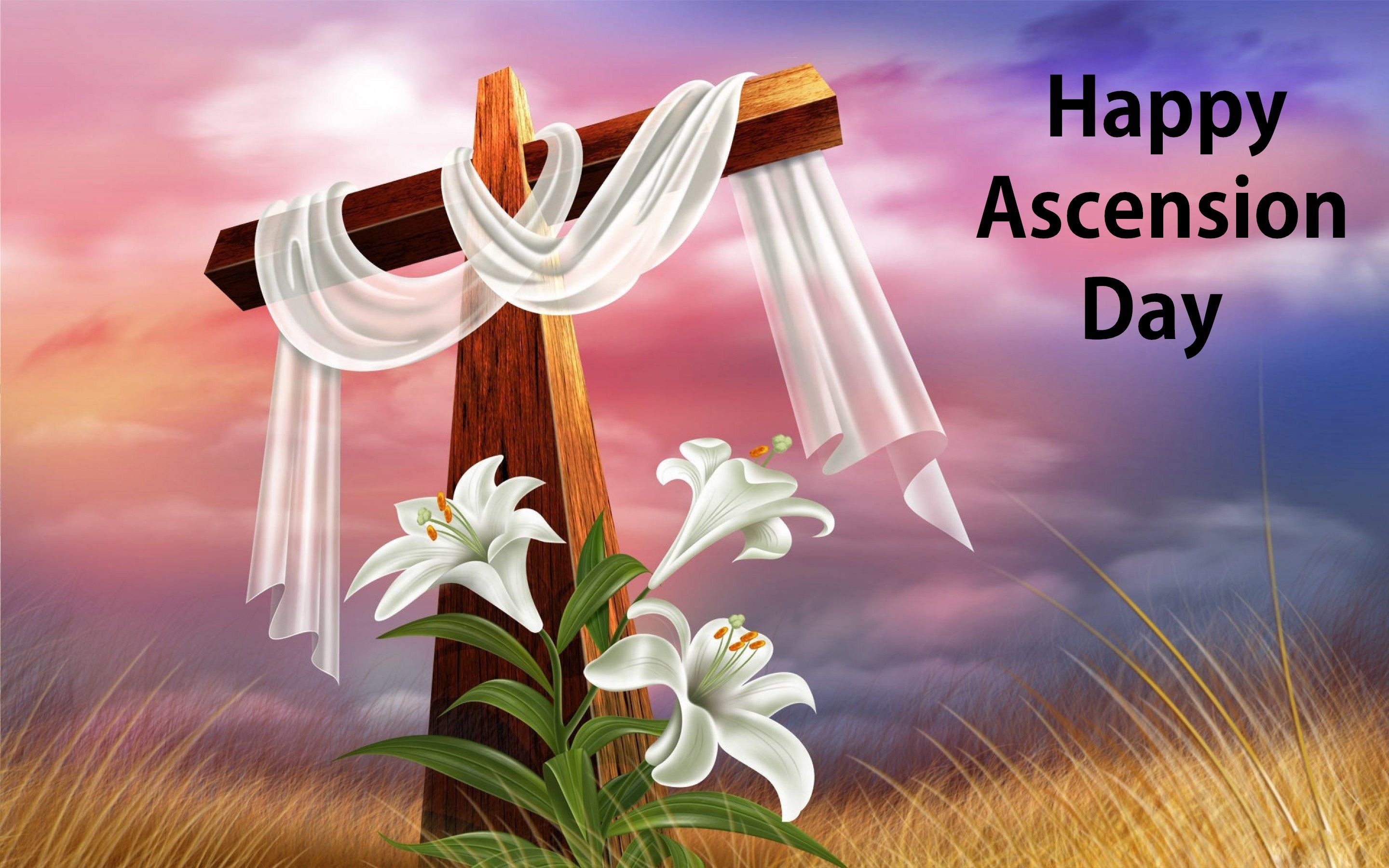 Detail Ascension Day Quotes Nomer 24