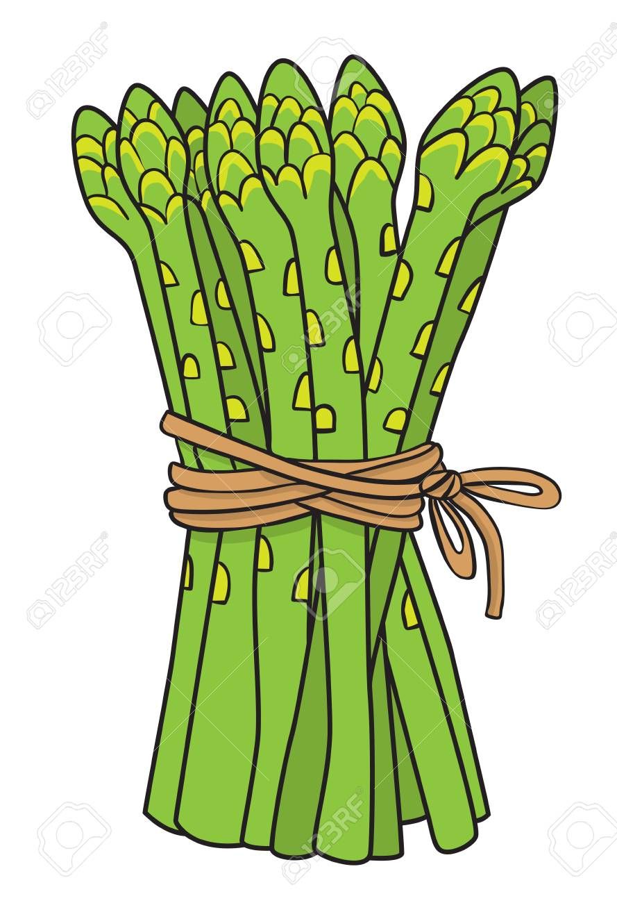 Detail Asparagus Clipart Nomer 3