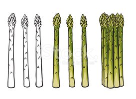 Detail Asparagus Clipart Nomer 19