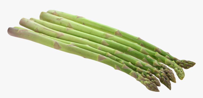 Detail Asparagus Clipart Nomer 22