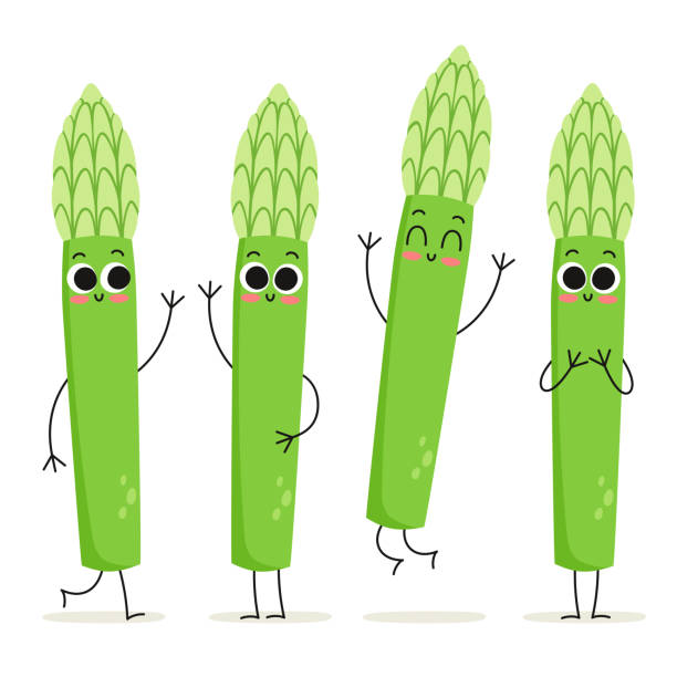 Detail Asparagus Clipart Nomer 23