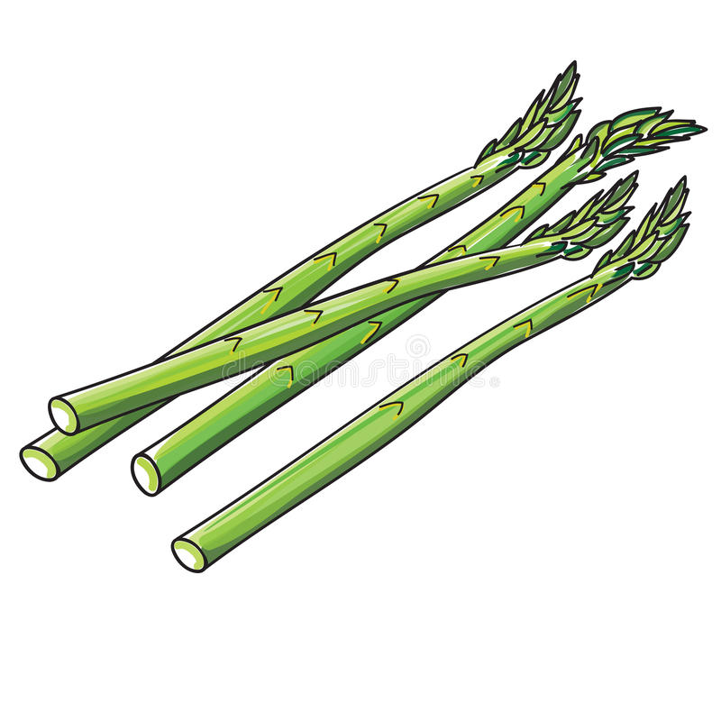 Detail Asparagus Clipart Nomer 4