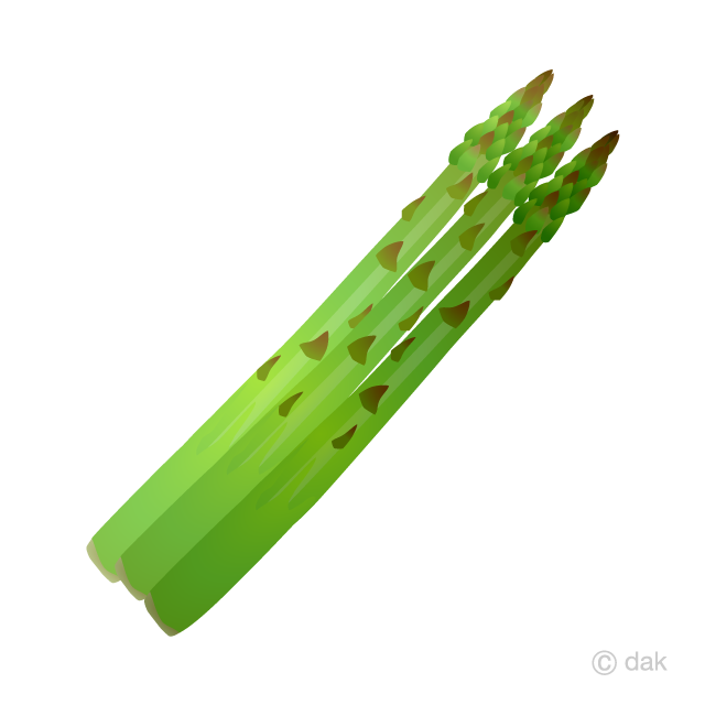 Detail Asparagus Clipart Nomer 29