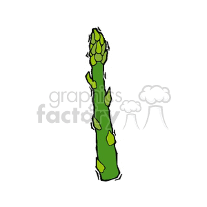 Detail Asparagus Clipart Nomer 30