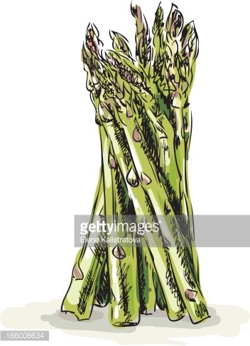 Detail Asparagus Clipart Nomer 45