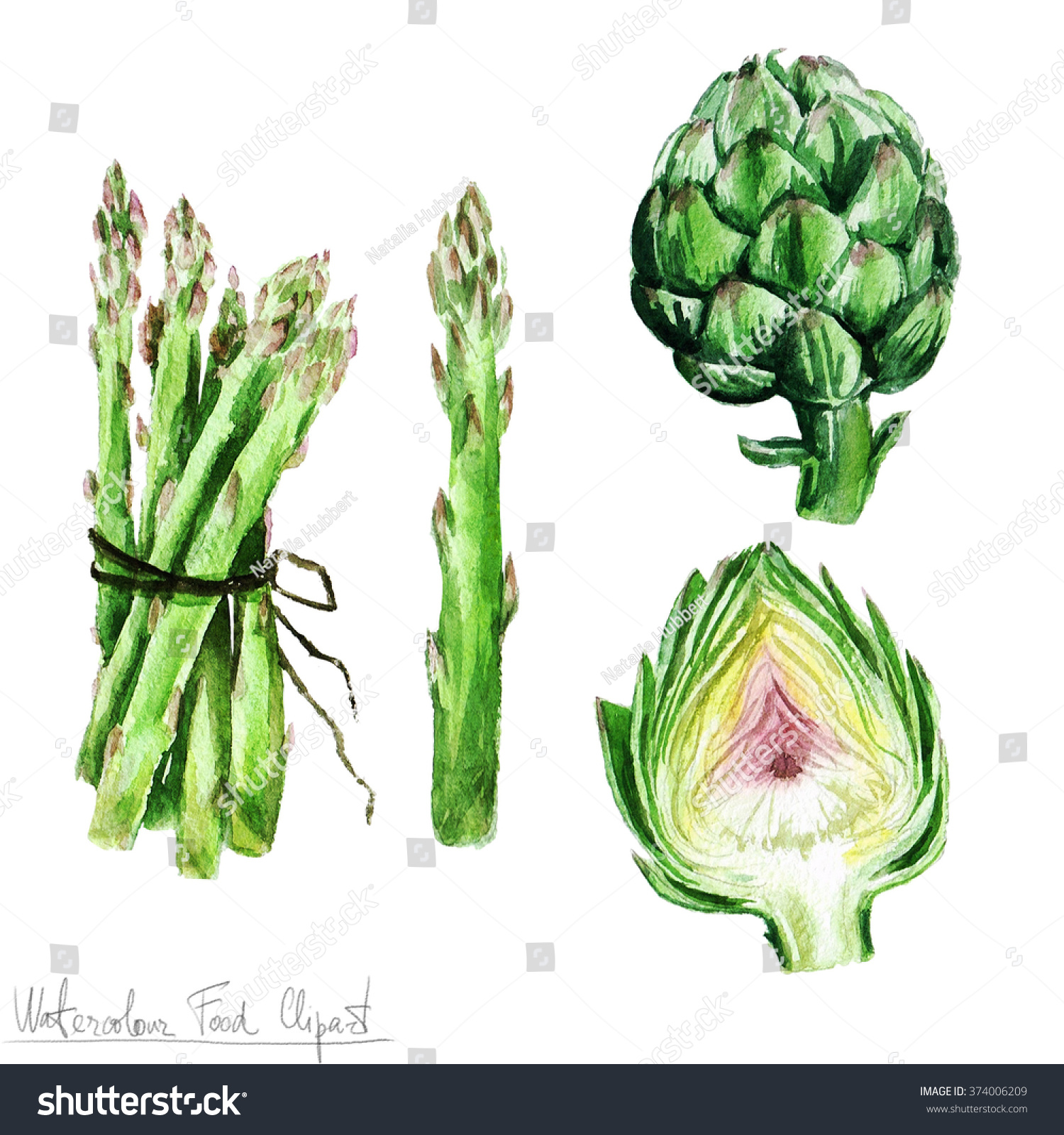 Detail Asparagus Clipart Nomer 49