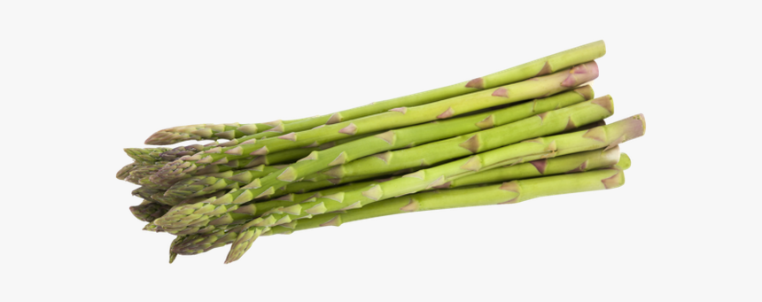 Detail Asparagus Png Nomer 11