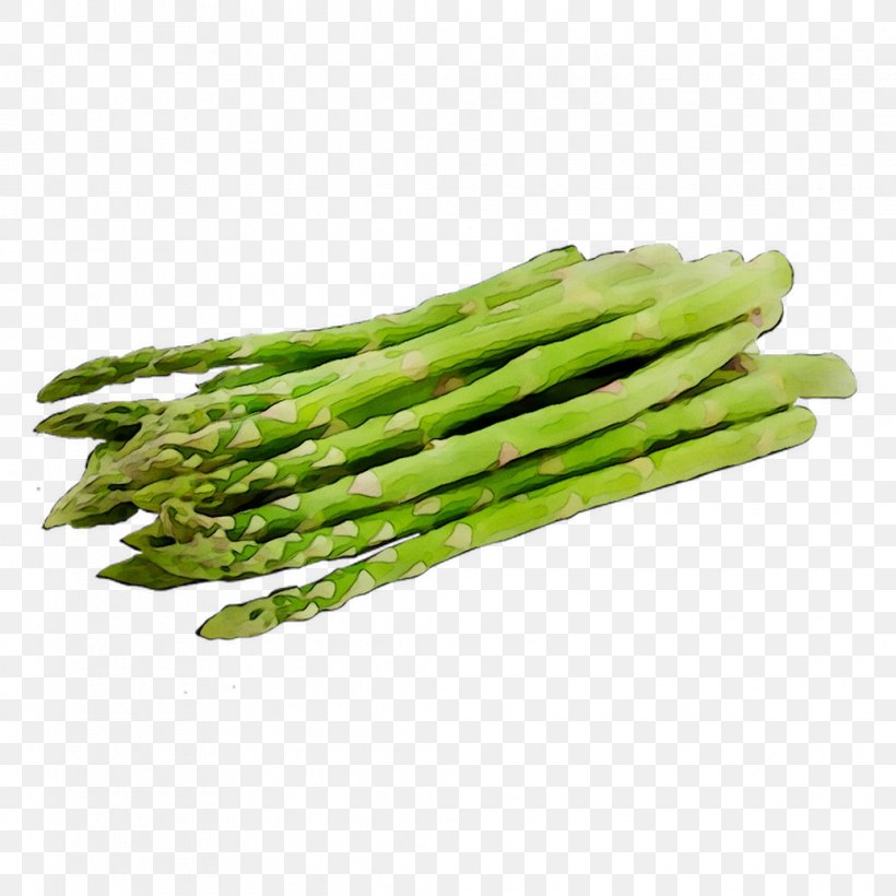 Detail Asparagus Png Nomer 20