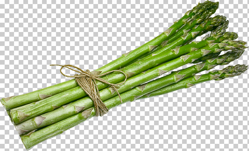 Detail Asparagus Png Nomer 26