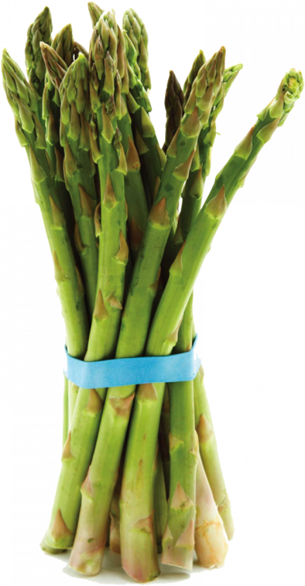 Detail Asparagus Png Nomer 34