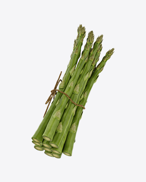 Detail Asparagus Png Nomer 37