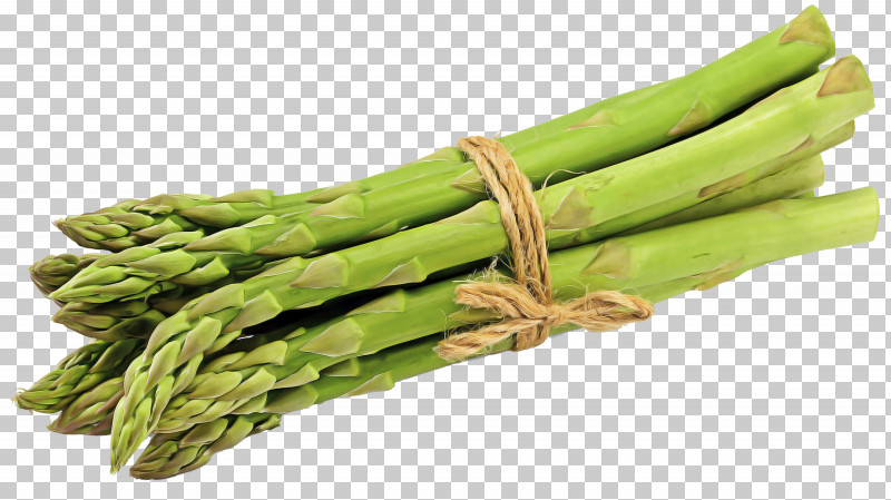 Detail Asparagus Png Nomer 45