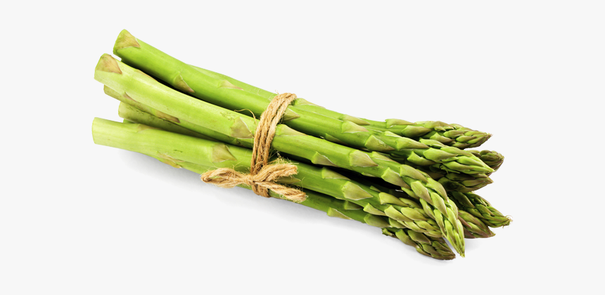 Detail Asparagus Png Nomer 5