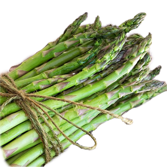 Detail Asparagus Png Nomer 52