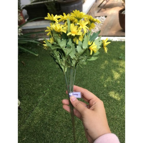 Detail Aster Kuning Nomer 50
