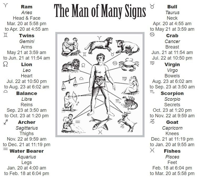 Detail Astrological Signs Images Nomer 35