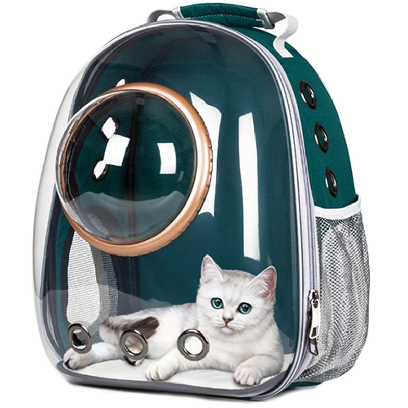 Detail Astronaut Backpack For Cats Nomer 3