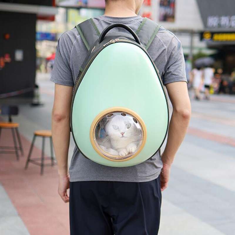 Detail Astronaut Backpack For Cats Nomer 28