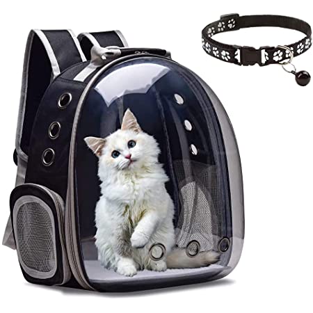 Detail Astronaut Backpack For Cats Nomer 41