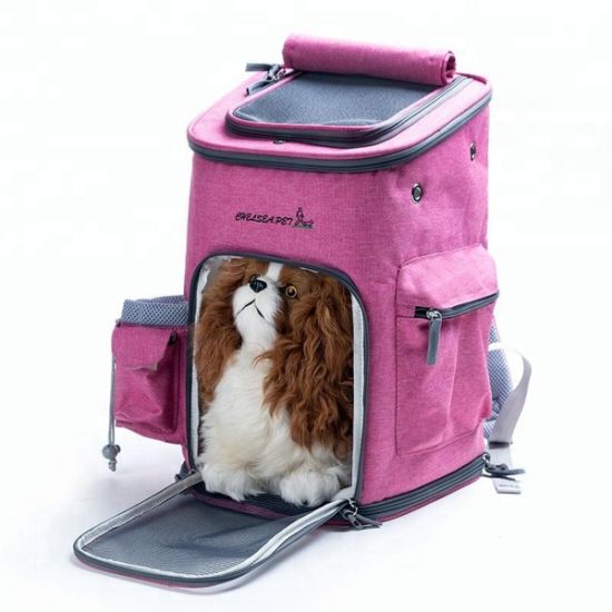 Detail Astronaut Backpack For Cats Nomer 45