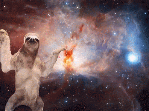 Detail Astronaut Sloth Meme Nomer 16