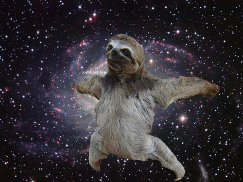 Detail Astronaut Sloth Meme Nomer 17