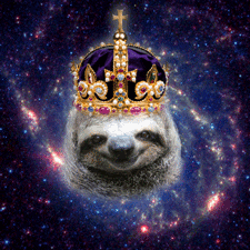 Detail Astronaut Sloth Meme Nomer 19