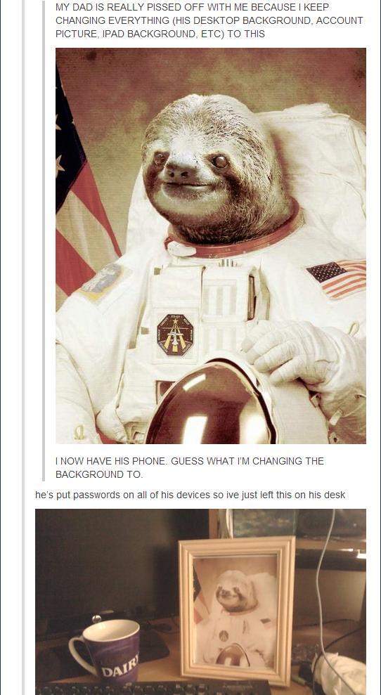 Detail Astronaut Sloth Meme Nomer 3