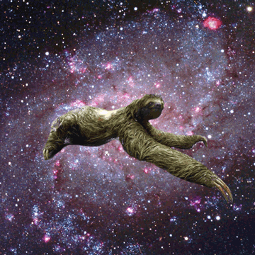 Detail Astronaut Sloth Meme Nomer 24