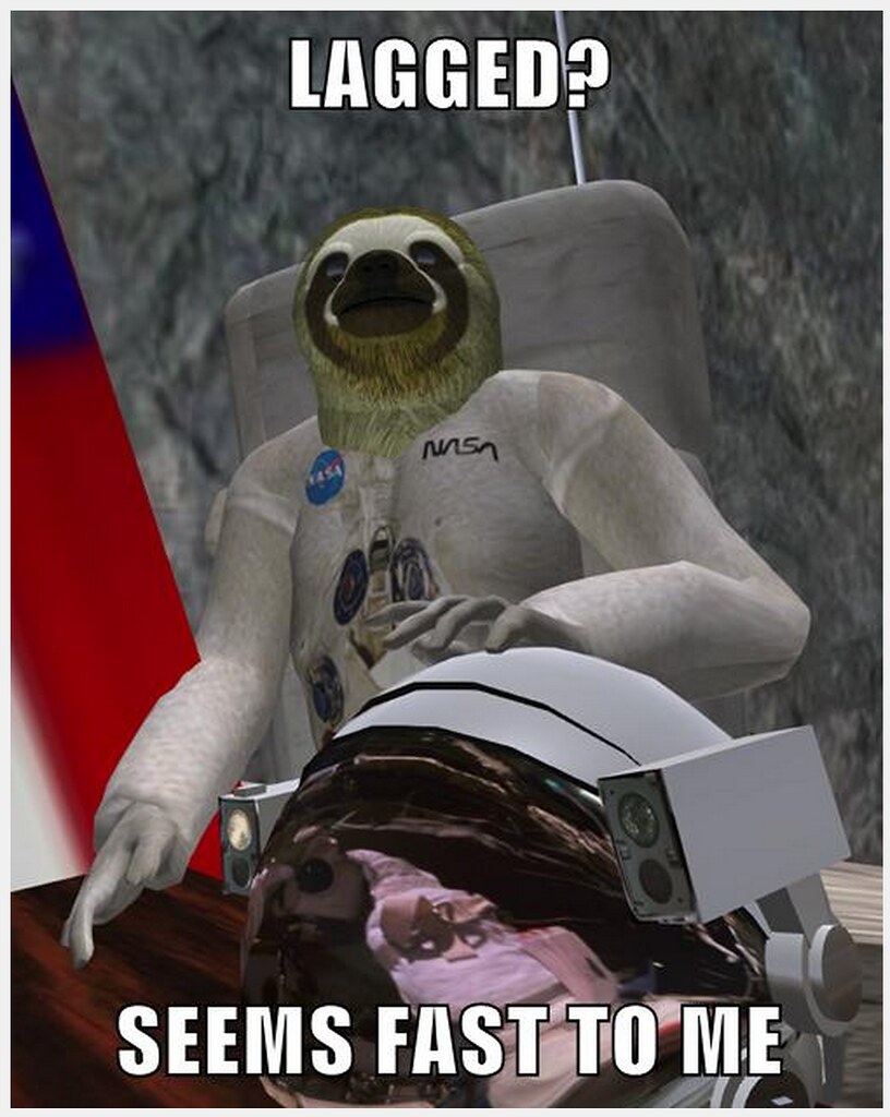 Detail Astronaut Sloth Meme Nomer 25