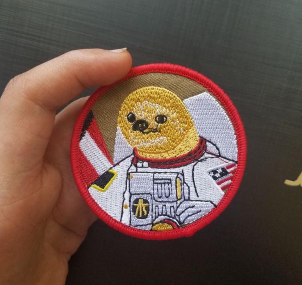 Detail Astronaut Sloth Meme Nomer 29
